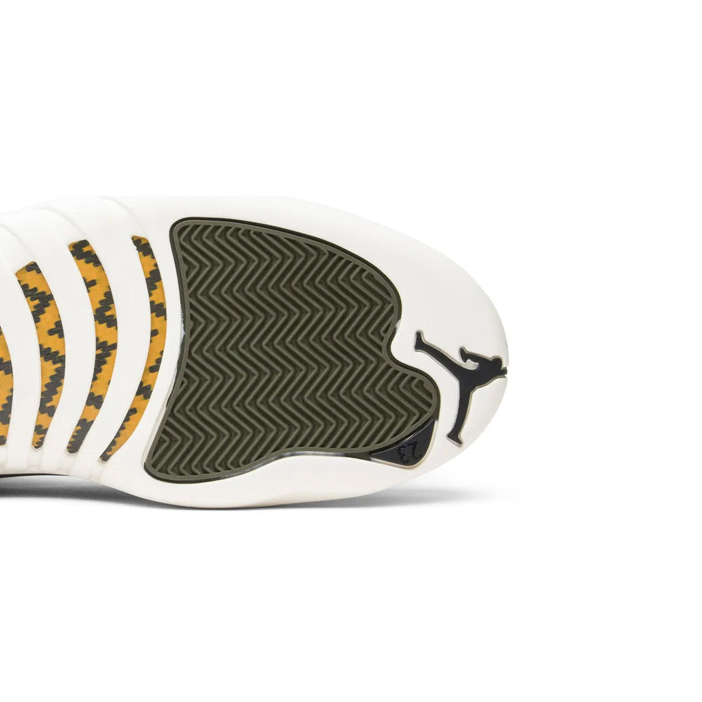 Air Jordan 12 Retro 'Chris Paul Class Of 2003' (2018)